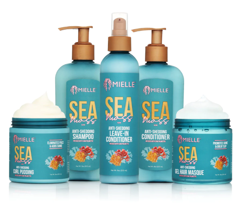 Mielle Organics Sea Moss Bundle Shampoo - Conditioner - Leave in  Conditioner - Gel Masque - Curl Pudding
