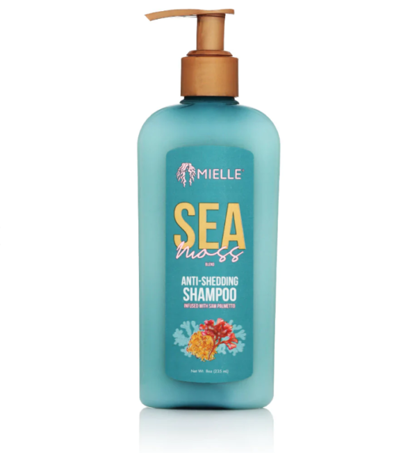 mielle shampoo